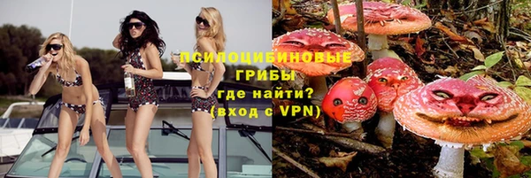 mdpv Верея