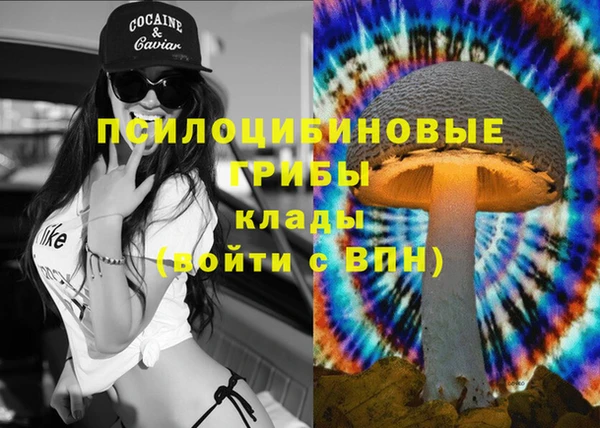 mdpv Верея