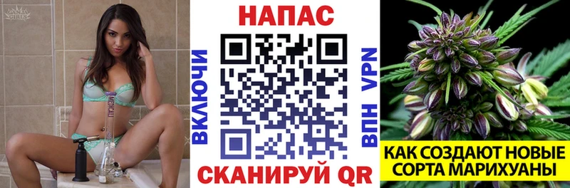 Канабис планчик Великий Устюг